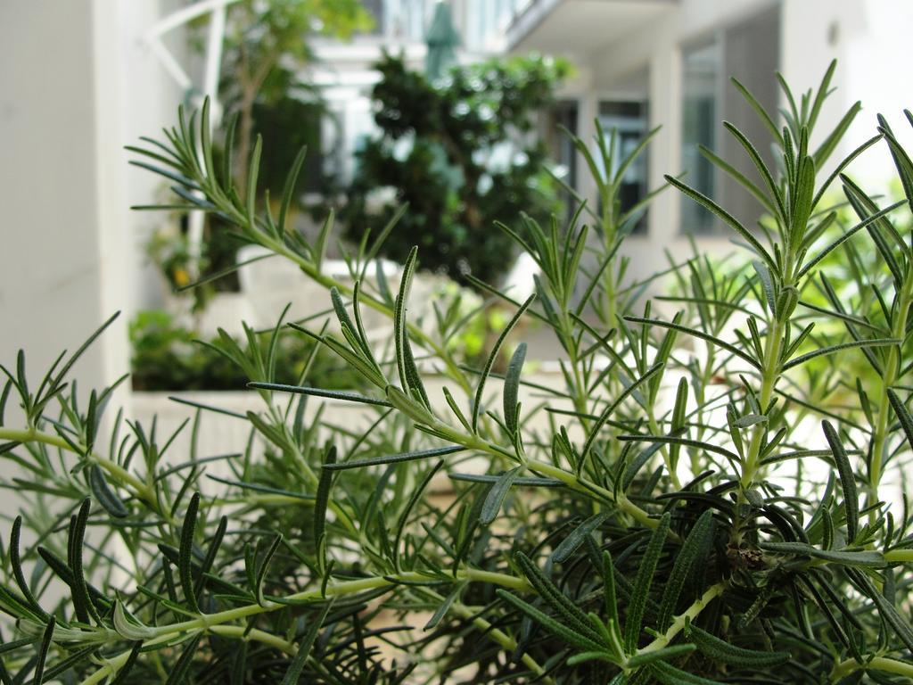 B&B Alma Grande Brindisi Kültér fotó