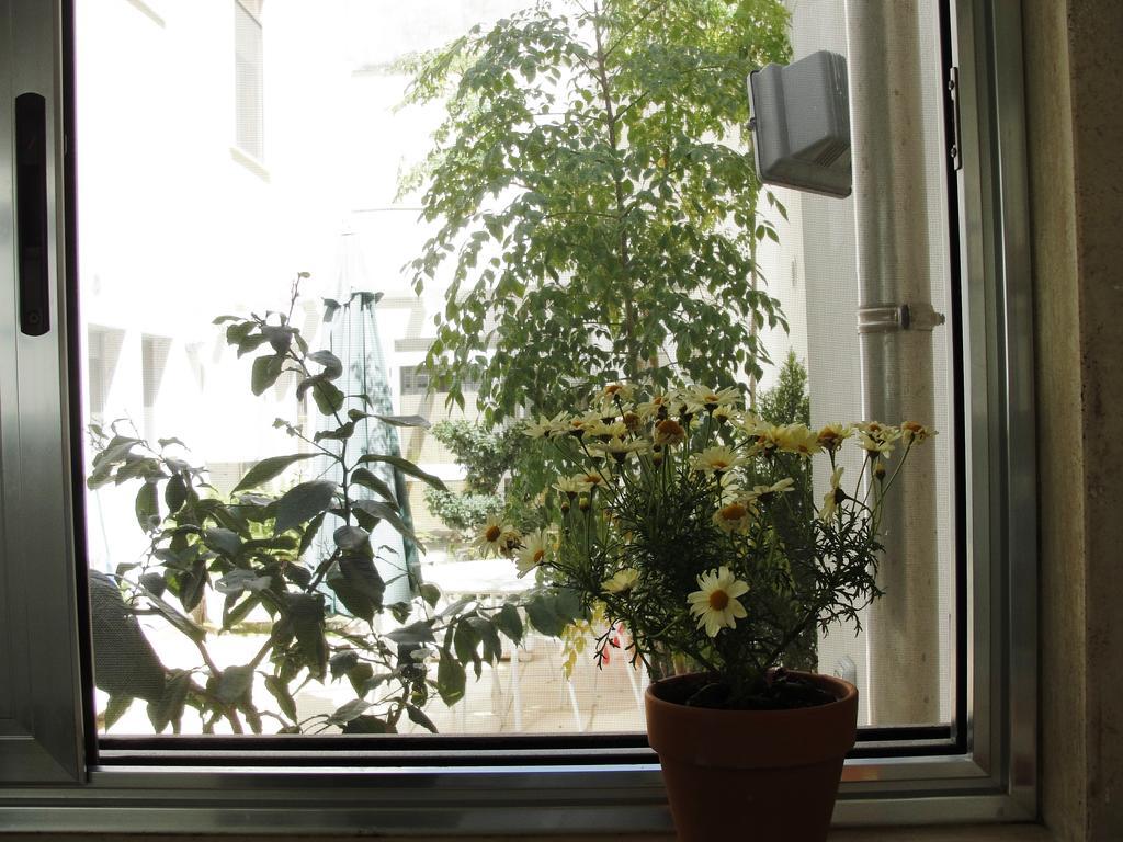 B&B Alma Grande Brindisi Kültér fotó